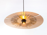 pendant-lamp-radar-interior-451342-relc44a2a68.jpg thumb image